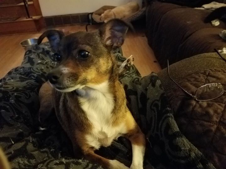 Abby